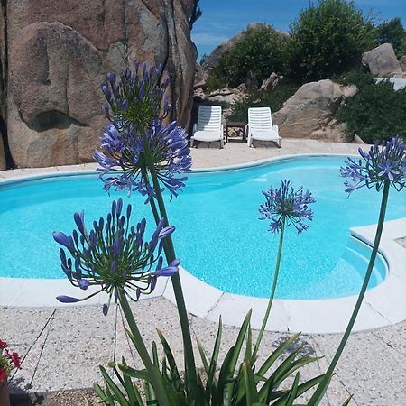 Villa Majore Beb Con Piscina Privata 雷纳马约勒 外观 照片