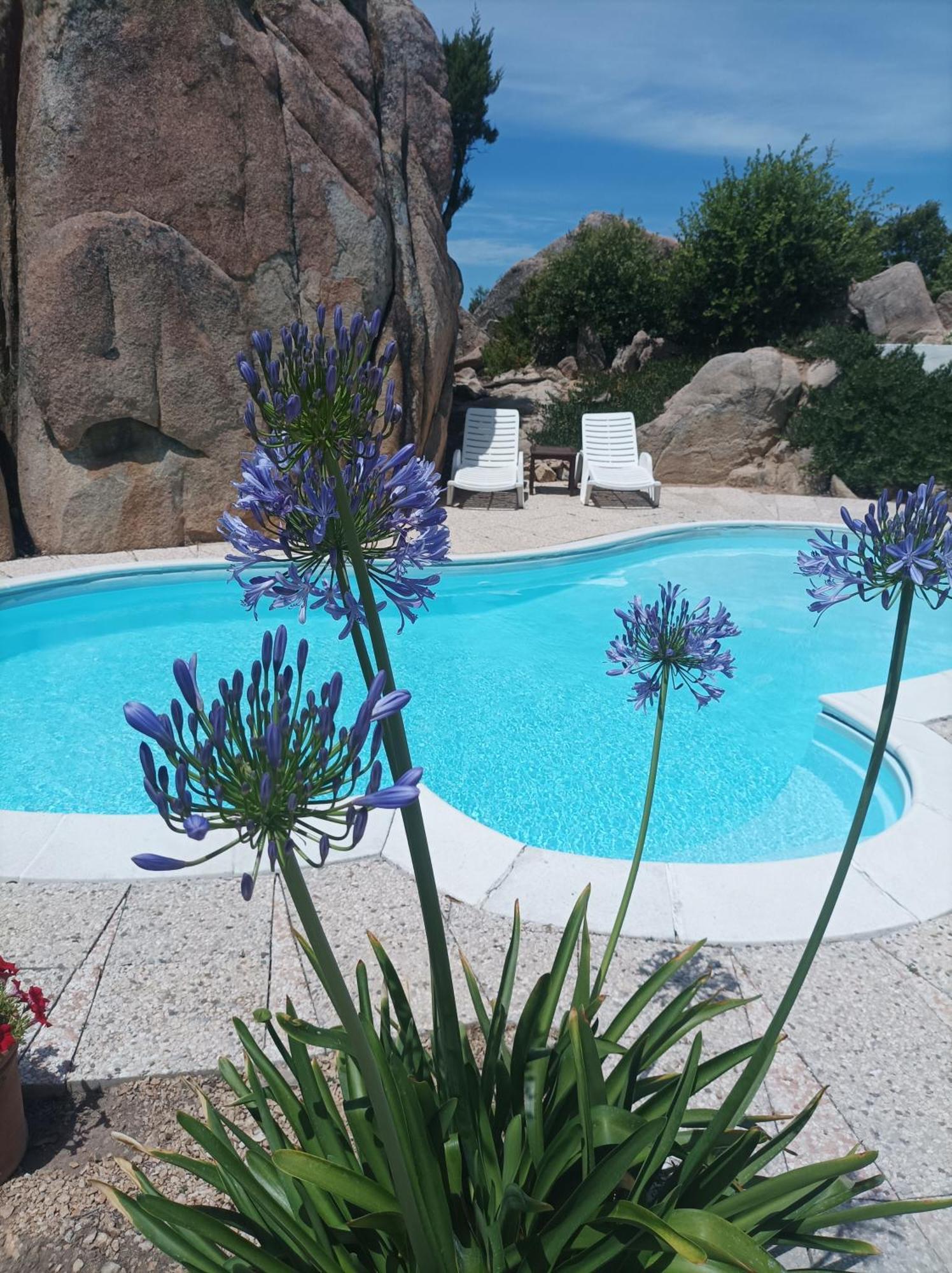 Villa Majore Beb Con Piscina Privata 雷纳马约勒 外观 照片